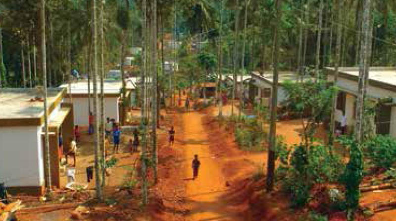 Kelu1 1
