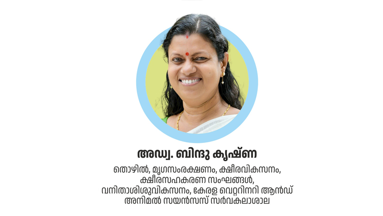 bindu featured image