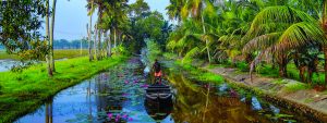 roopesh2