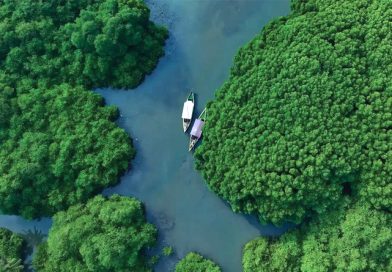 tourism featured
