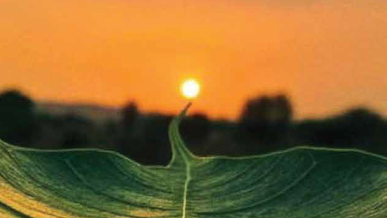 thilangunna keralamfeatured image