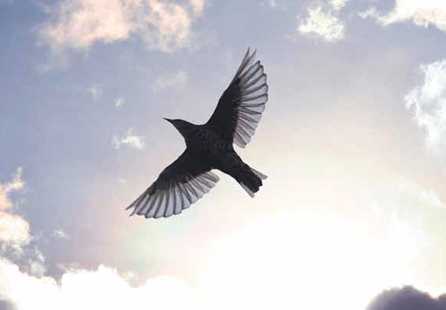 ഒരുമിച്ചു മുന്നേറാം നവകേരളത്തിലേക്ക്